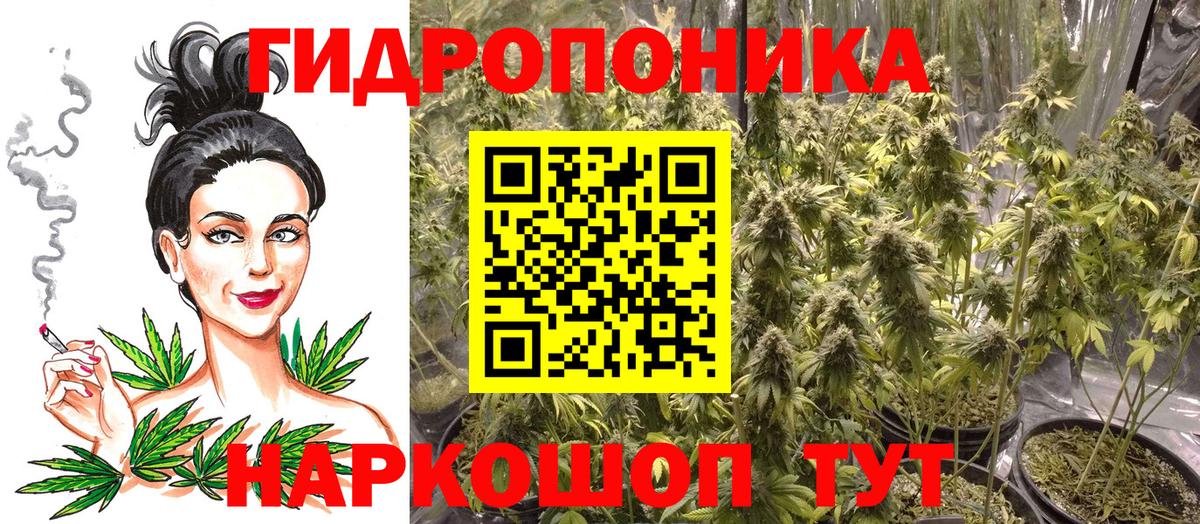 Сургут  Марихуана сатива  Вход с VPN  Марихуана семена  Конопля OG Kush 